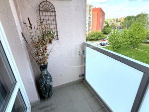 Prodej bytu 3+1, Ostrava, Jaroslava Misky, 73 m2