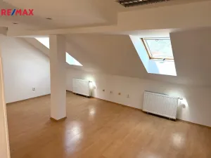 Prodej rodinného domu, Třebíč - Jejkov, Smila Osovského, 250 m2