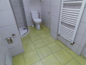 Pronájem bytu 1+1, České Budějovice - České Budějovice 5, Dobrovodská, 45 m2