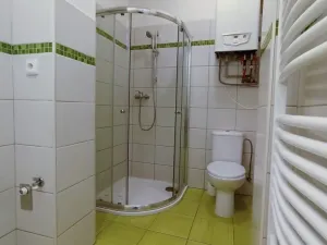 Pronájem bytu 1+1, České Budějovice - České Budějovice 5, Dobrovodská, 45 m2