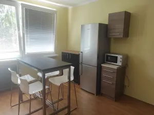 Prodej bytu 1+1, Česká Lípa, Jižní, 37 m2