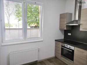 Pronájem bytu 2+1, Duchcov, Husova, 52 m2