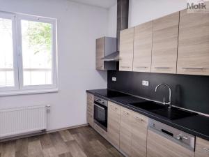 Pronájem bytu 2+1, Duchcov, Husova, 52 m2
