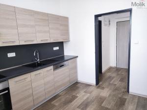 Pronájem bytu 2+1, Duchcov, Husova, 52 m2