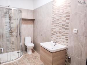 Pronájem bytu 2+1, Duchcov, Husova, 52 m2