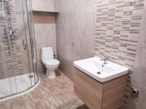 Pronájem bytu 2+1, Duchcov, Husova, 52 m2