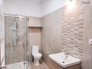 Pronájem bytu 2+1, Duchcov, Husova, 52 m2