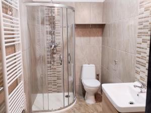 Pronájem bytu 2+1, Duchcov, Husova, 52 m2