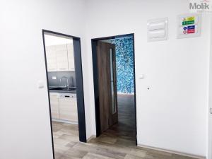 Pronájem bytu 2+1, Duchcov, Husova, 52 m2