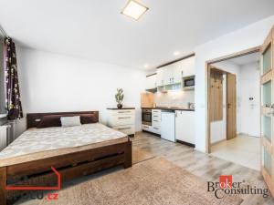 Pronájem bytu 1+kk, Brno - Bohunice, Běloruská, 36 m2