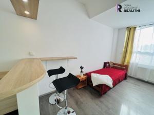 Pronájem bytu 1+kk, Brno - Zábrdovice, Příkop, 27 m2
