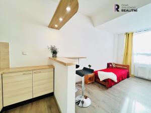 Pronájem bytu 1+kk, Brno - Zábrdovice, Příkop, 27 m2