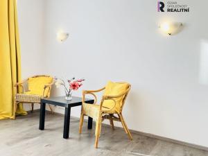 Pronájem bytu 1+kk, Brno - Zábrdovice, Příkop, 27 m2