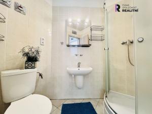 Pronájem bytu 1+kk, Brno - Zábrdovice, Příkop, 27 m2