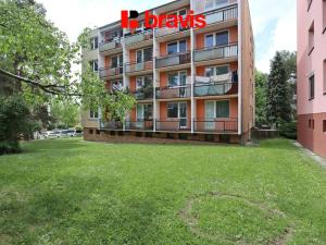 Pronájem bytu 2+1, Brno, Lipská, 54 m2