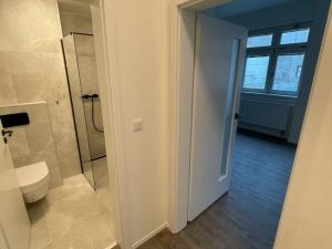 Pronájem bytu 1+kk, Brno - Brno-město, Jánská, 27 m2