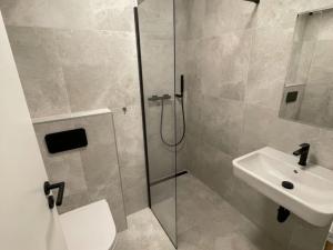 Pronájem bytu 1+kk, Brno - Brno-město, Jánská, 27 m2