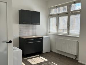 Pronájem bytu 1+kk, Brno - Brno-město, Jánská, 27 m2
