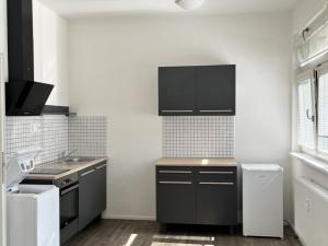 Pronájem bytu 1+kk, Brno - Brno-město, Jánská, 27 m2