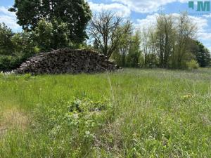 Prodej zemědělské usedlosti, Budišov, 1100 m2