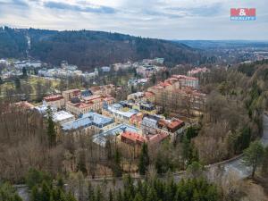 Prodej bytu 2+1, Mariánské Lázně, Mladějovského, 54 m2