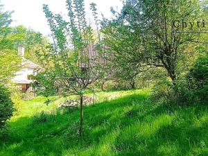 Prodej zahrady, Přerov, 731 m2