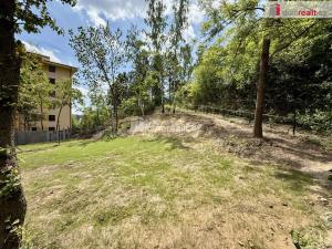 Pronájem zahrady, Kralupy nad Vltavou, Lutovítova, 200 m2