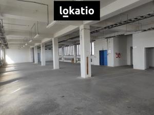Pronájem skladu, Praha - Hostivař, U továren, 570 m2
