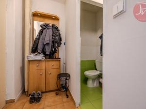 Prodej bytu 1+1, Ostrava, Svojsíkova, 27 m2