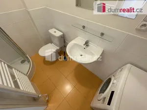Pronájem bytu 1+kk, Praha - Smíchov, Moulíkova, 30 m2