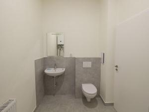 Pronájem bytu 3+1, Libice nad Cidlinou, Opolanská, 63 m2