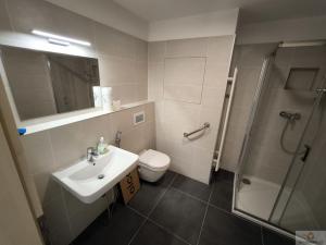 Pronájem bytu 2+kk, Olomouc, Eduarda Hamburgera, 74 m2