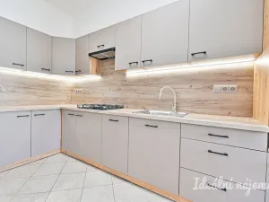 Pronájem bytu 2+1, Brno, Cejl, 61 m2