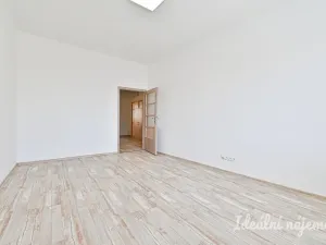 Pronájem bytu 2+1, Brno, Cejl, 61 m2