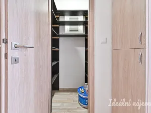 Pronájem bytu 2+1, Brno, Cejl, 61 m2