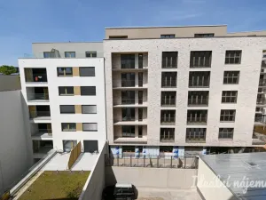 Pronájem bytu 2+1, Brno, Cejl, 61 m2