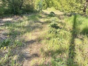 Prodej pozemku pro bydlení, Hradištko, 1477 m2
