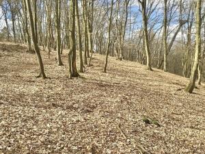 Prodej pozemku pro bydlení, Hradištko, 1477 m2