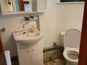 Prodej chaty, Malíč, 41 m2