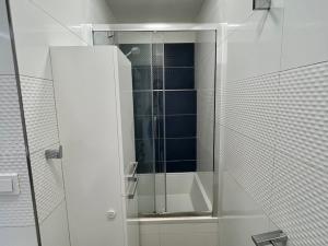 Pronájem bytu 2+1, České Budějovice - České Budějovice 3, Plzeňská, 62 m2