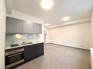 Pronájem bytu 1+kk, Brno, Dominikánské náměstí, 23 m2