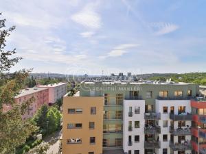 Pronájem bytu 2+1, Praha - Hloubětín, Zelenečská, 52 m2