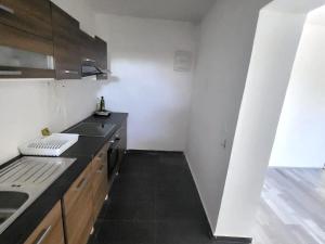 Prodej činžovního domu, Krupka - Bohosudov, Dlouhá, 332 m2