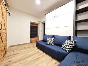 Pronájem bytu 1+kk, Brno, Palackého třída, 22 m2