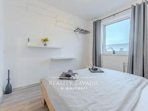 Pronájem bytu 2+kk, Dašice, 44 m2