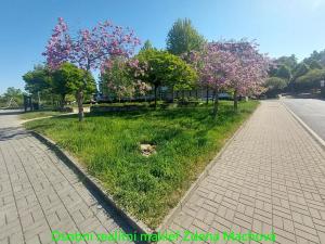 Pronájem bytu 3+kk, Praha - Modřany, U Domu služeb, 223 m2