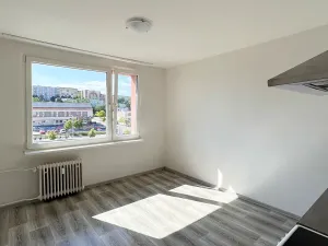 Pronájem bytu 1+1, Chomutov, Písečná, 38 m2