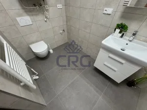 Pronájem bytu 3+kk, Rostěnice-Zvonovice, 111 m2