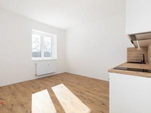 Pronájem bytu 1+kk, Ostrava, Palackého, 23 m2