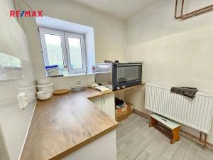 Pronájem obchodního prostoru, Jílové u Prahy, Pražská, 243 m2